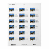 Étiquettes de adresse bergers allemands (Feuille entière)