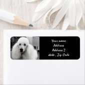 Étiquettes de adresse blancs de caniche (En situation)