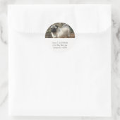 Étiquettes de adresse Carlins adorables (Sac)