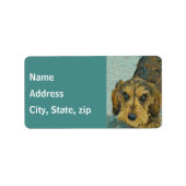 Étiquettes de adresse Dachshund (Devant)