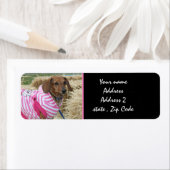 Étiquettes de adresse Dachshund (En situation)