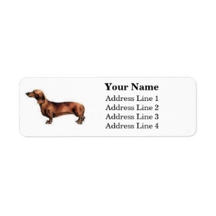 Étiquettes de adresse Dachshund