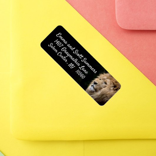 Étiquettes de adresse d'animaux de lions d'Afrique