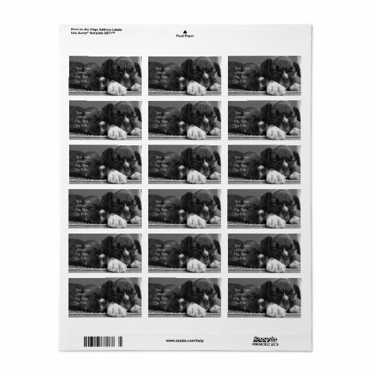 Étiquettes de adresse de boîte (Feuille entière)