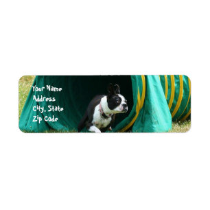Étiquettes de adresse de Boston Terrier d'agilit