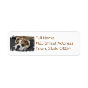 Étiquettes de adresse de Bulldog endormis