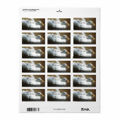 Étiquettes de adresse de canard (Feuille entière)