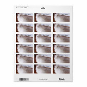 Étiquettes de adresse de chat perse blanc (Feuille entière)