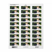 Étiquettes de adresse de chat Tabby Orange (Feuille entière)