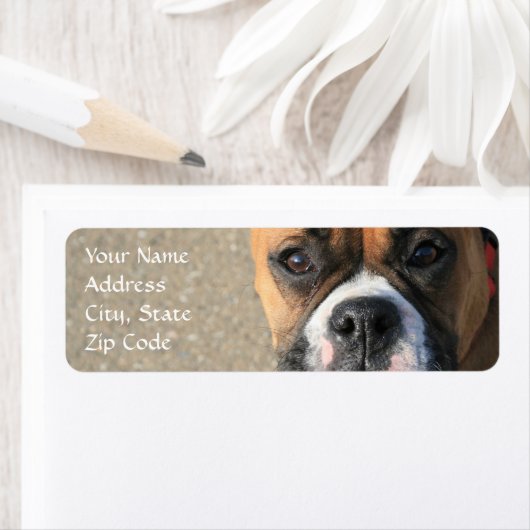 Étiquettes de adresse de chiens de boxe (En situation)