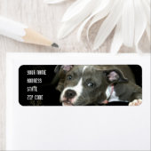 Étiquettes de adresse de chiot bleu (En situation)