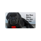 Étiquettes de adresse de chiot du Labrador (Devant)