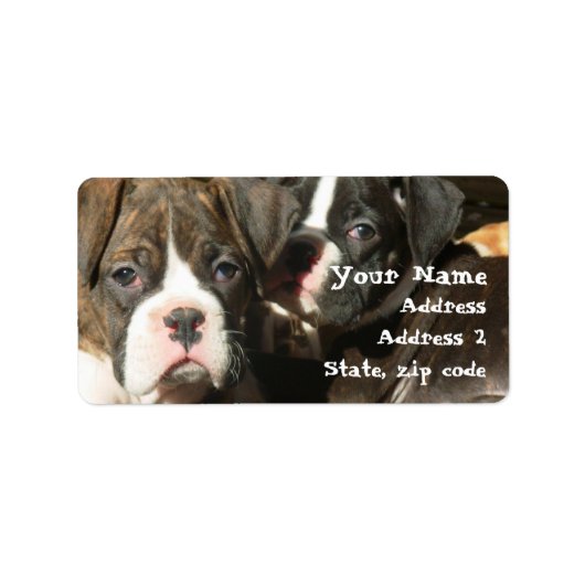 Étiquettes de adresse de chiots de boxe (Devant)