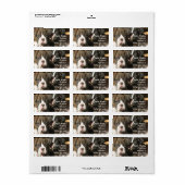 Étiquettes de adresse de chiots de boxe (Feuille entière)