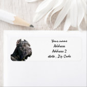 Étiquettes de adresse de corso de canne (En situation)