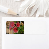 Étiquettes de adresse de fleurs (En situation)