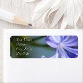 Étiquettes de adresse de fleurs d'Agapanthus (En situation)