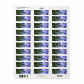 Étiquettes de adresse de fleurs d'Agapanthus (Feuille entière)