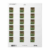 Étiquettes de adresse de l'arborescence des livres (Feuille entière)