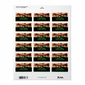 Étiquettes de adresse de l'oeil de la bande dessin (Feuille entière)