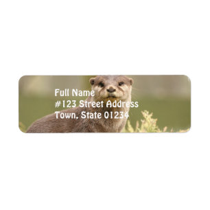 Étiquettes de adresse de loutre