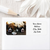 Étiquettes de adresse de marionnettes Boxer (En situation)