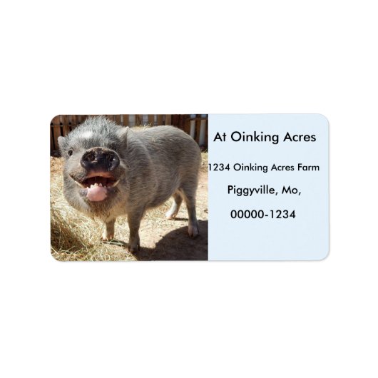 Étiquettes de adresse de mini-cochon souriants et (Devant)
