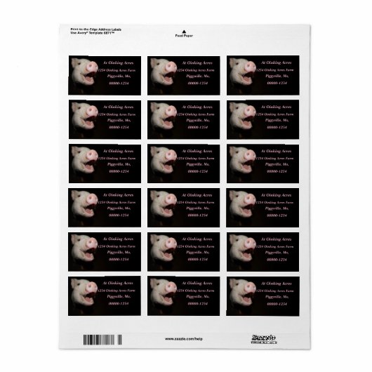 Étiquettes de adresse de mini-cochons roses person (Feuille entière)