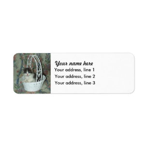 Étiquettes de adresse de panier de chaton