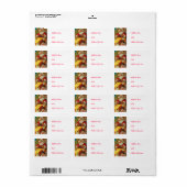 Étiquettes de adresse de Père Noël Vintage personn (Feuille entière)