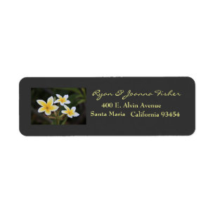 Étiquettes de adresse de Plumeria