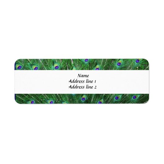 Étiquettes de adresse de plumes Peacock Vert (Devant)