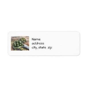 Étiquettes de adresse de retour d'amis de tortue