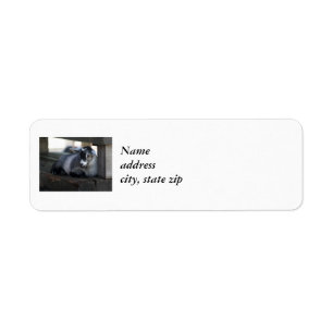 Étiquettes de adresse de retour de chèvre