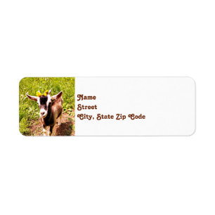 Étiquettes de adresse de retour de chèvre de bé