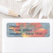 Étiquettes de adresse de rétroreflection (En situation)