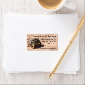 Étiquettes de adresse de tortue du désert (En situation)