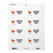 ÉTIQUETTES DE ADRESSE DE TRANSPORT D'OISEAUX HUMMI (Feuille entière)