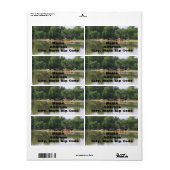 Étiquettes de adresse de vache (Feuille entière)