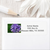 Étiquettes de adresse d'Hydrangea violet (En situation)