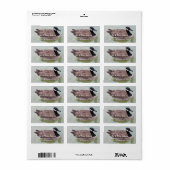 Étiquettes de adresse d'oie (Feuille entière)