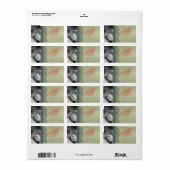 Étiquettes de adresse d'oiseaux de Noël - ou Merci (Feuille entière)