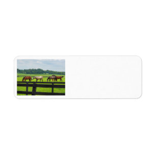 Étiquettes de adresse du Kentucky Bluegrass