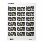 Étiquettes de adresse en chef Gator (Feuille entière)