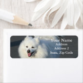 Étiquettes de adresse Eskimo américains (En situation)