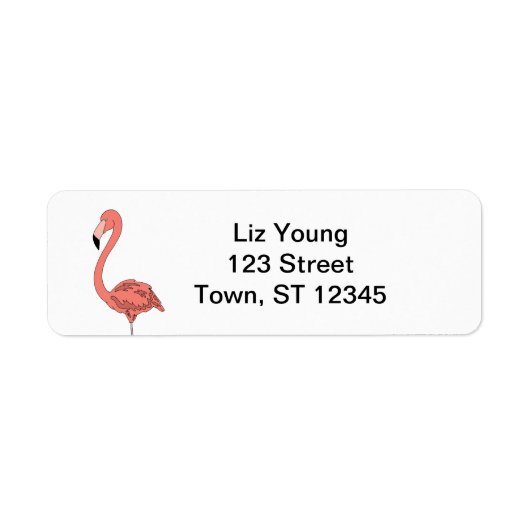 Étiquettes de adresse Flamants roses (Devant)