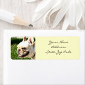 Étiquettes de adresse français de Bulldog (En situation)