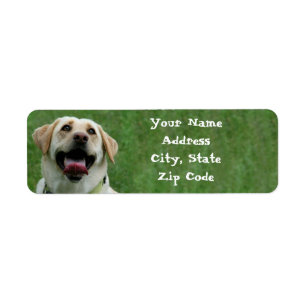 Étiquettes de adresse jaunes de labrador retrieve