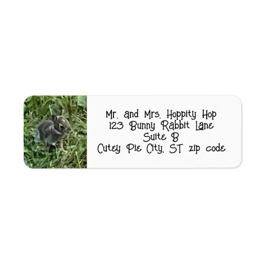 Étiquettes de adresse lapin lapin bébé (Devant)