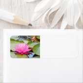 étiquettes de adresse lotus (En situation)